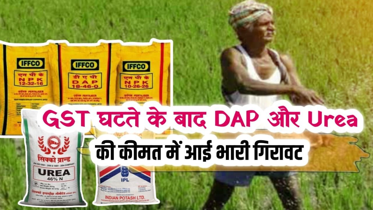 Prices for DAP and Urea